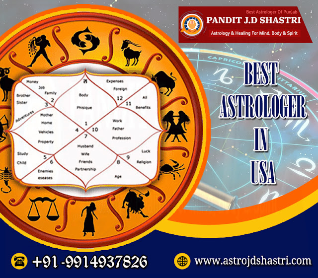 best astrologer in usa