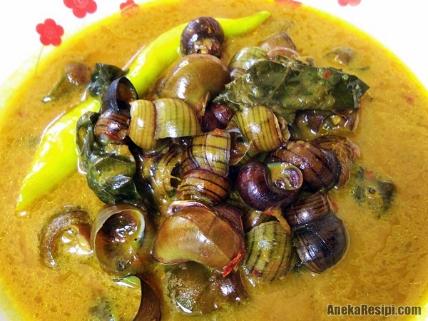 Resepi Gulai Siput Daun Kaduk