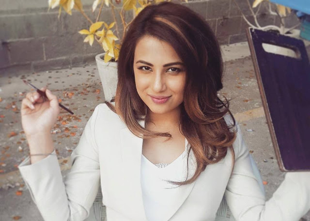 Beautiful Ushna Shah HD Wallpaper