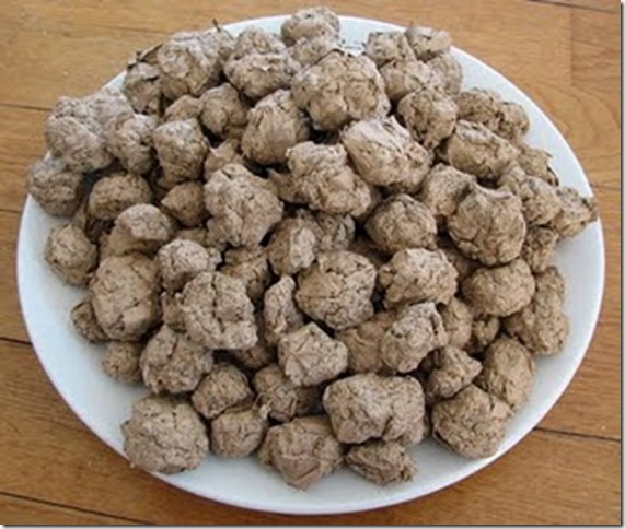 plateofseedbombs