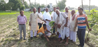 tree-planting-purnia