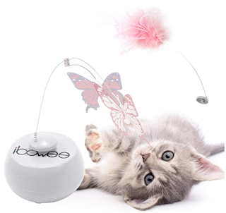 Cat toy, fun toy for cats, interactive pet toy