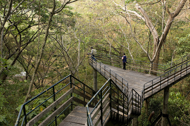 Thenmala Eco Tourism