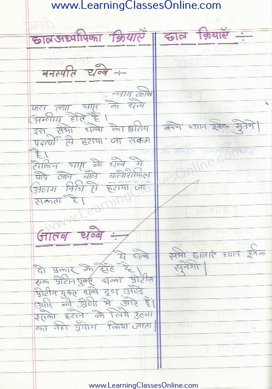 class 8 micro teaching home science lesson plan on skill of explanation in hindi