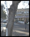 NAHARIYA 008