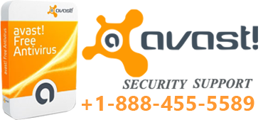 Avast Antivirus Support Number