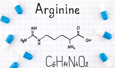 Does L Arginine Cause Boners