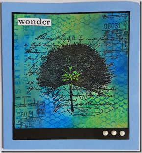 WONDER