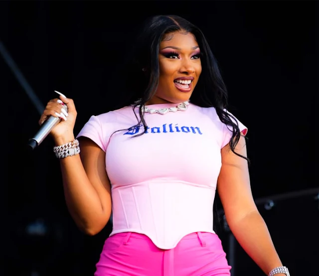 Megan Thee Stallion's Childhood, Age, Family, Biography, Awards & More