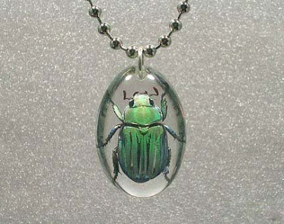 Beautiful Insects jewelry