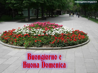 immagini buona domenica