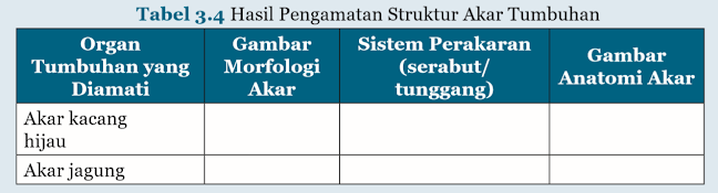 Tabel Hasil Pengamatan Struktur Akar Tumbuhan