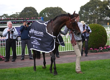 race 7_black heart bart 7