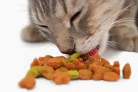 How Do I Choose a Food for My Cat?