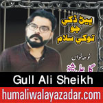 http://www.humaliwalayazadar.com/2017/09/gull-ali-sheikh-nohay-2018.html
