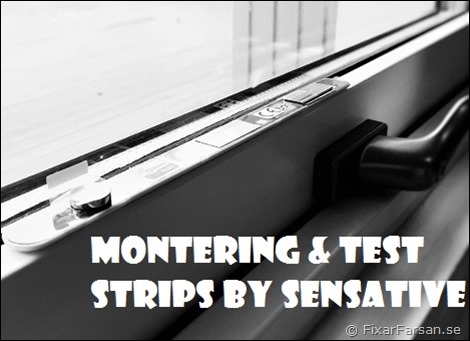Test-Strips-MaZw-1101011