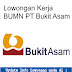 Lowongan Kerja BUMN PT Bukit Asam Tbk