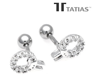 Titanium earrings