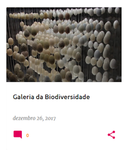 A nossa visita à Galeria da Biodiversidade em Dezembro de 2017