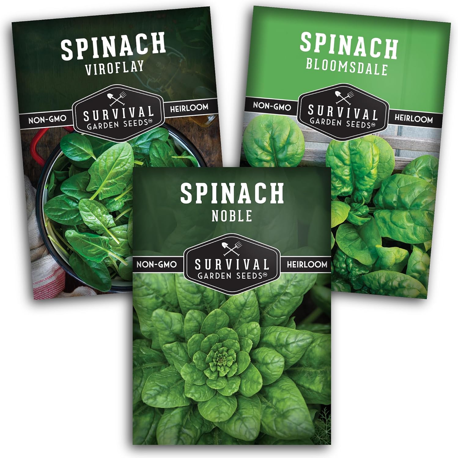 Growing organic spinach is a rewarding experience for beginner gardeners.