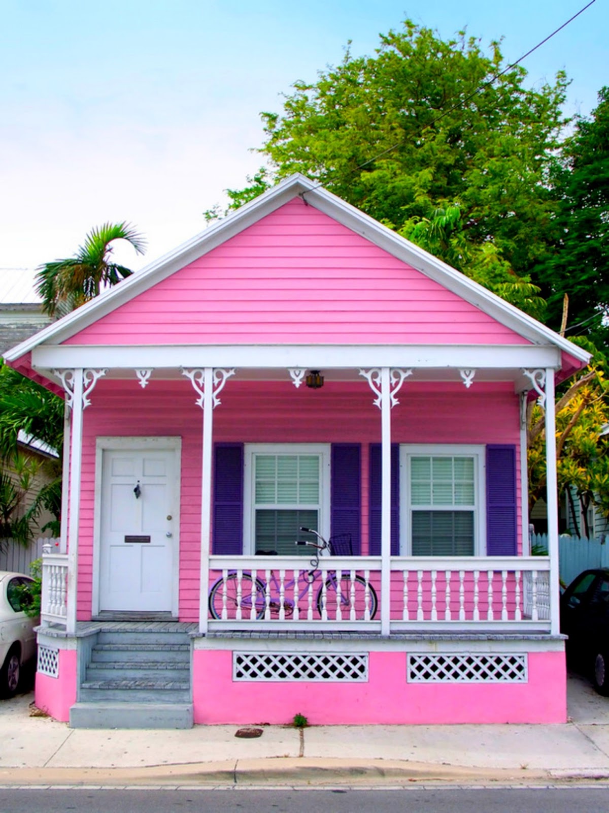 TVI WITH PETER JARRETTE HOT PINK TROPICAL HOMES HOUSES 