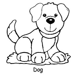 Animals Coloring Pages