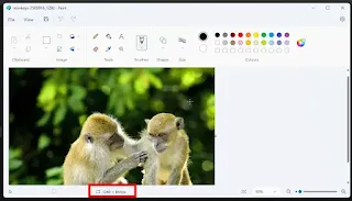 Cek Resolusi Foto Melalui Aplikasi Paint