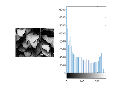 Histogram equalization of an image using imhist()