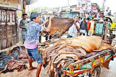 কোরবানির পশুর চামড়া কেনা নিয়ে জটিলতার আশঙ্কা by আবুল হাসনাত