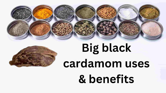 big black cardamom uses for hair, male, skin and other