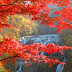 Fukuroda Falls - Ibaraki Prefecture