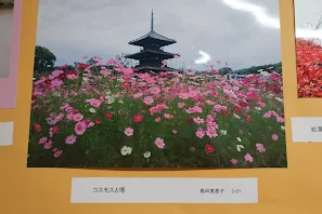 写真: 