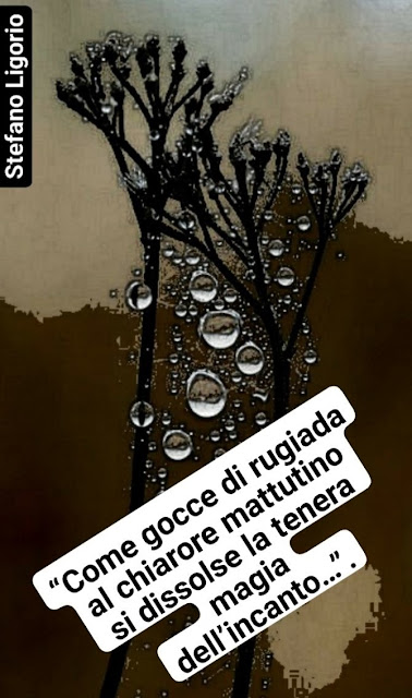 poesie di Stefano Ligorio, amore, dolcezza, amare, innamorarsi, innamoramento, innamorati, sentimento, legame, rapporto, relazione, coppia, uomo e donna, tradimento, ignoranza emotiva, intelligenza emotiva, stupidità, idiozia, viltà, vigliaccheria, codardia, morte, vita, il bene e il male, la malvagità, la cattiveria, la bontà