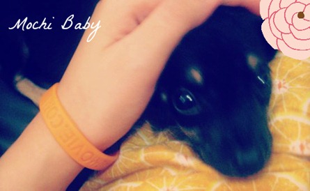 blog10