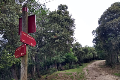 Cruce Bellojín