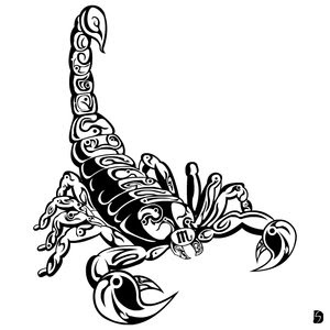 Tribal Scorpio Tattoos