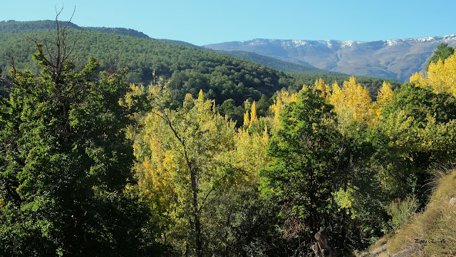 Las Presas, Jérez del Marquesado