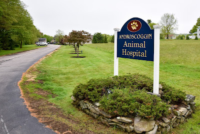 Androscoggin Animal Hospital in Topsham, Maine