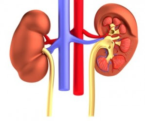 Cara Menyembuhkan Ginjal Membengkak