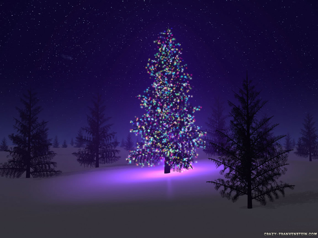 beautiful christmas tree