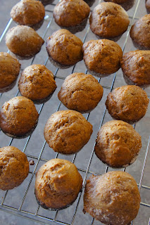 Baked Apple Cider Doughnut Holes: Savory Sweet and Satisfying