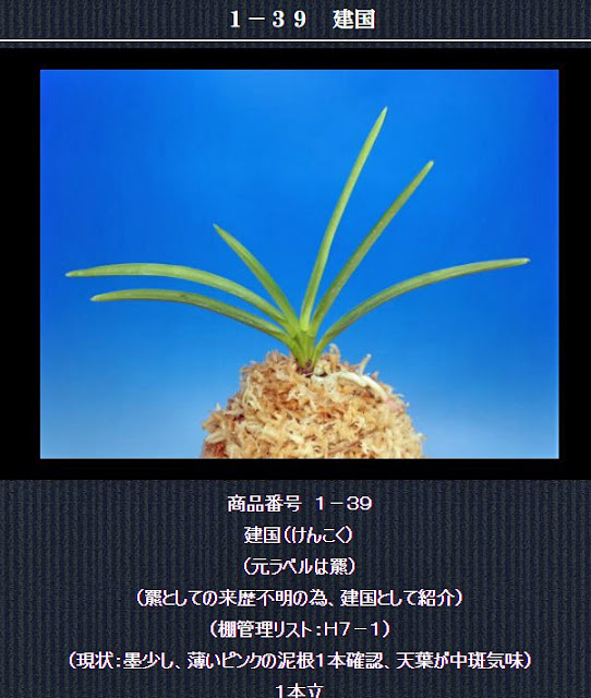  http://www.fuuran.jp/1-39.html