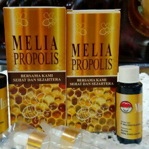 Harga melia  propolis asli