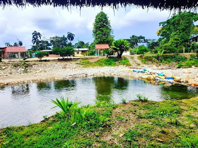 Balneario rodeado de vegetación con canchas, áreas de descanso y pozas de agua para niños, perfecto para disfrutar.