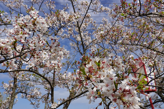 鳥取県西伯郡大山町御来屋 名和公園