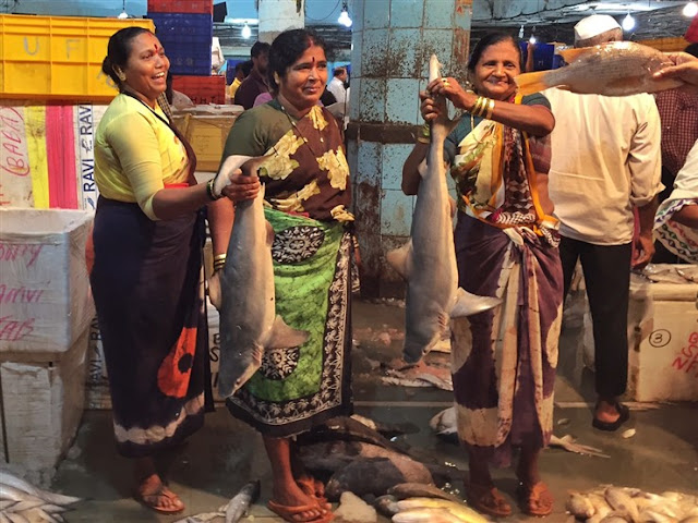 crawford fish market mumbai travel blog