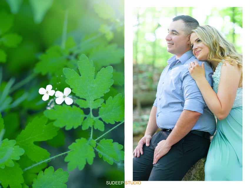 Toledo Wedding Engagement Pictures in Outdoor Nature - by SudeepStudio.com Ann Arbor Wedding Photographer