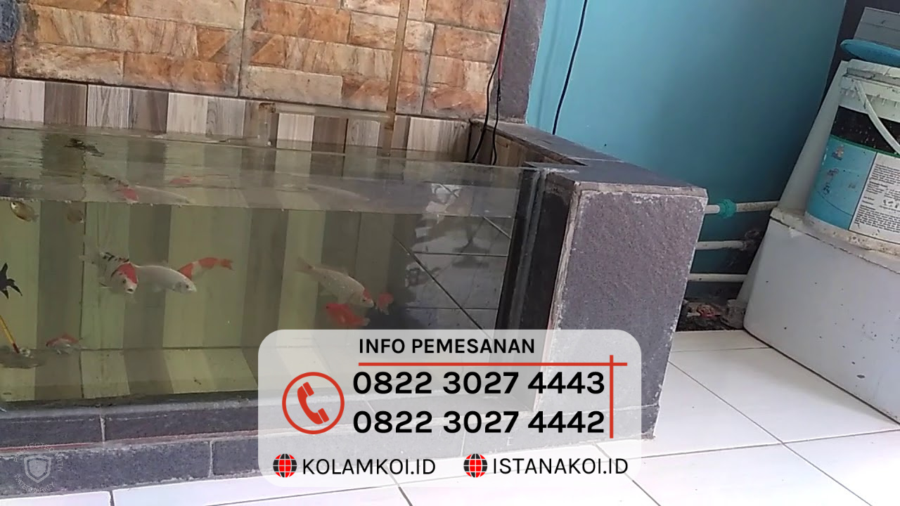 Kolam Ikan Koi Sederhana Design Minimalis Di Balikpapan Istana Koi