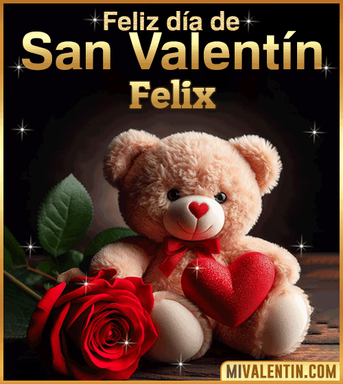 Peluche de Feliz día de San Valentin Felix
