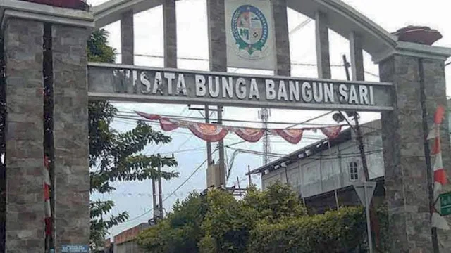 Wisata Bunga Bangun Sari